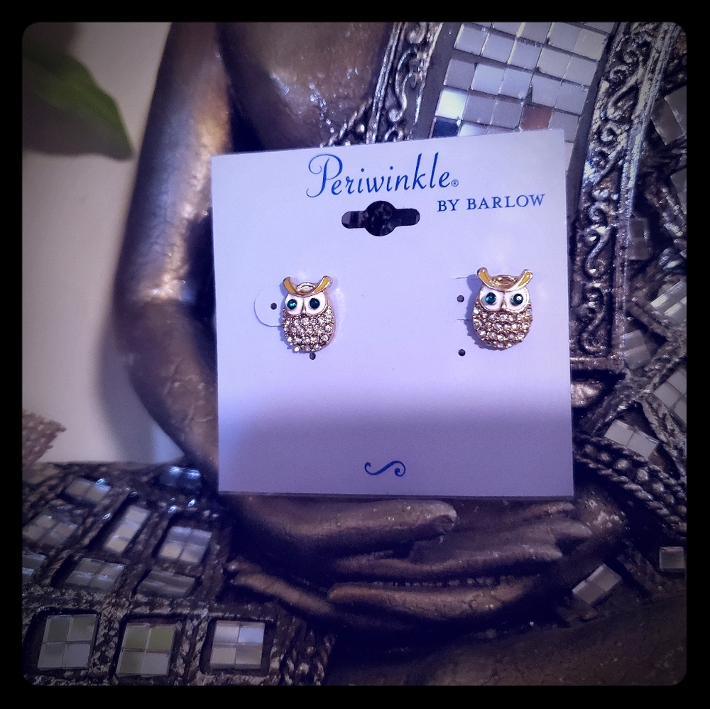 Cute owl earrings